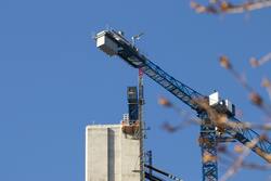An image of a crane an image of a crane